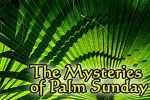 Blood and Mysteries of Palm Sunday