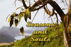 Seasons and Souls