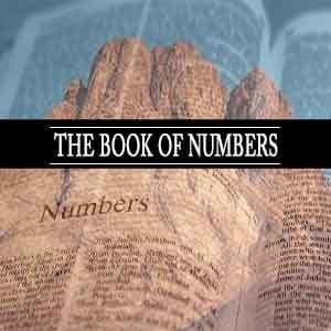 Book Of Numbers Elders Part 1 audio